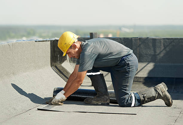 Best Attic Insulation Installation  in Farmer City, IL